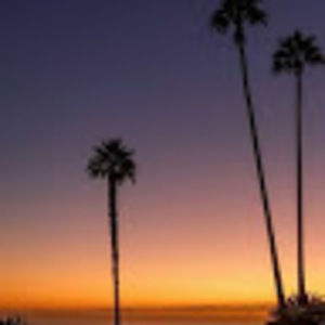 Meet your Posher, Daisy